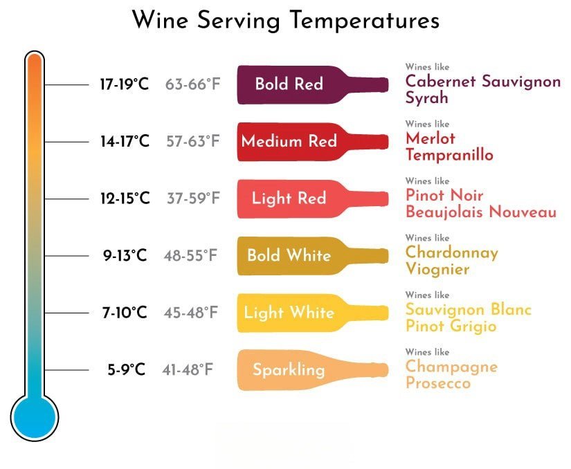 LECAVIST - 248 Bottle - Single Zone Wine Cabinet (LCS240VN1Z1D) - LeCavist NZ
