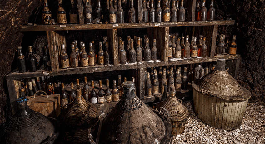 Does Wine Expire? How Wine Cabinet Can Help You - Lecavist